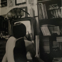 butterflylullaby avatar