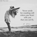 butterflyqueensworld avatar