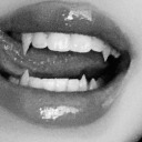 butterflys-corner avatar