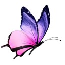 butterflysallah avatar
