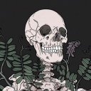 butterflyskeletonsworld avatar