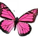 butterflystasia avatar