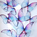 butterflyymeaway avatar