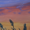 butterflyyyintherain avatar