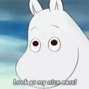 butterscotchcat avatar