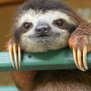 butterybiscuitbasinbison avatar