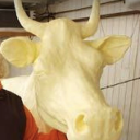 butterycow avatar