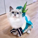 butterycybercheesecake avatar