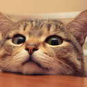 butteryfreshnerd avatar