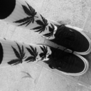 butweareyoung avatar