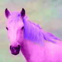 buymeaunicorn-blog avatar