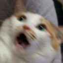 buymebubbletea avatar