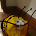 buzzbee-buttercup avatar