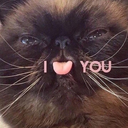 buzzbuzzharmonicasolo avatar