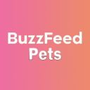 buzzfeedpets avatar