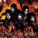 bvbarmyshit avatar
