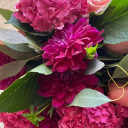 bvbydontcry-j avatar