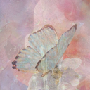 bxttxrflybxddie avatar