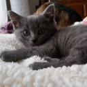 by-any-other-pen avatar