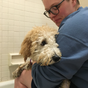 byebyebabyblues avatar