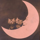 byebyebirdie00 avatar