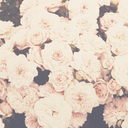 bythe-moonlight avatar