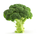 byvegetablesforvegetables avatar