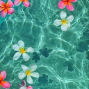 c-atchphrasejones avatar