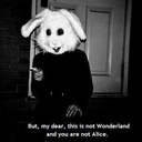 c-e-i-f-e-i-r-o-blog avatar