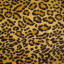 c-h-e-3-t-a-h-barbie-blog avatar