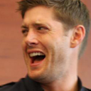 c-o-m-p-a-n-i-o-n avatar