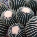 c00lkidsd0ntsleep avatar