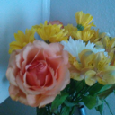 c0c0akit33cvk3s avatar