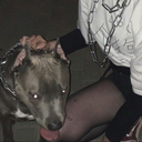 c0caine-fl0wers avatar