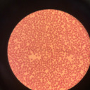 c0ffee--addict avatar