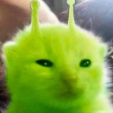 c0mput3r-h3ad avatar