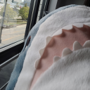 c0nfusedshark avatar