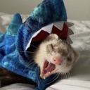 c0nstantlyscreaming avatar