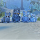 c0y0t3-dr34mzz avatar