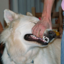 c1owninthemorgu3 avatar