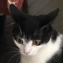 c3l3stial-bodies avatar