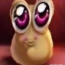 c4tlic1ous avatar