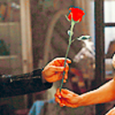 caaptainswaan avatar