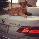 caarmengaarcia avatar