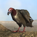 caaterpillared avatar