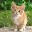 caatsgalooore-blog avatar