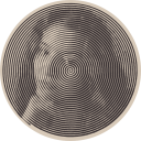 caballera-sin-fronteras avatar