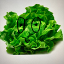 cabbage-but-happy avatar