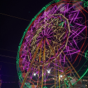 cabbagecatowo avatar