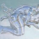 cabezaypiesenlasnubes avatar